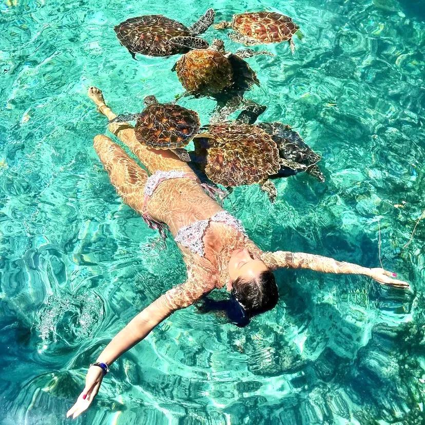 Swim with Sea Turtles